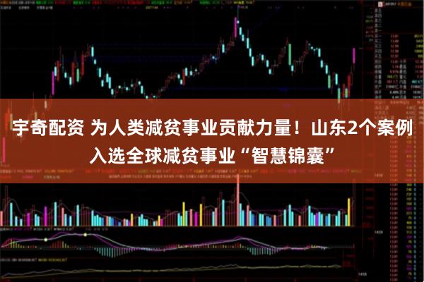 宇奇配资 为人类减贫事业贡献力量!山东2个案例入选全球减贫事业“智慧锦囊”